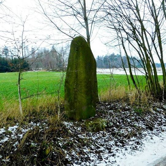 Pamětní kámen u Jedlova