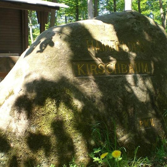 Ritterstein 77 "Hainfelder Kirschbaum"