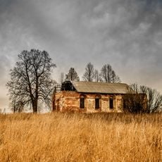 Церковь Покрова Богородицы (Чижево)