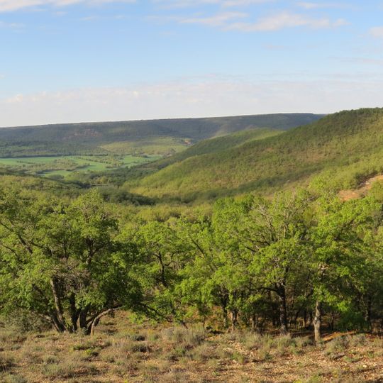 Quejigares de Barriopedro y Brihuega