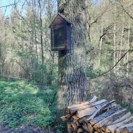 Bildbaum Tobelbachgraben