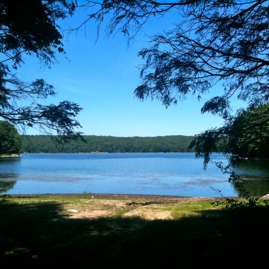 Centennial Watershed State Forest