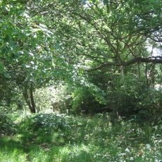 Section of Roman road 270yds (250m) in length SE of Holtye Common