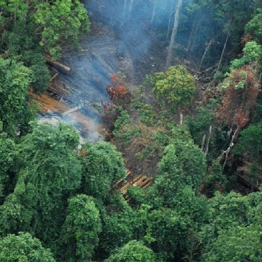 Cardamom Mountains