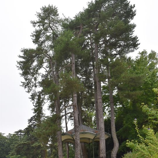 Bandstand of Jardin Massey