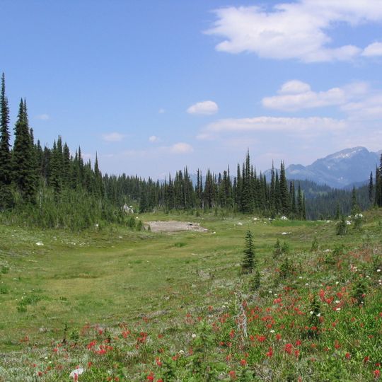 Parco nazionale di Mount Revelstoke