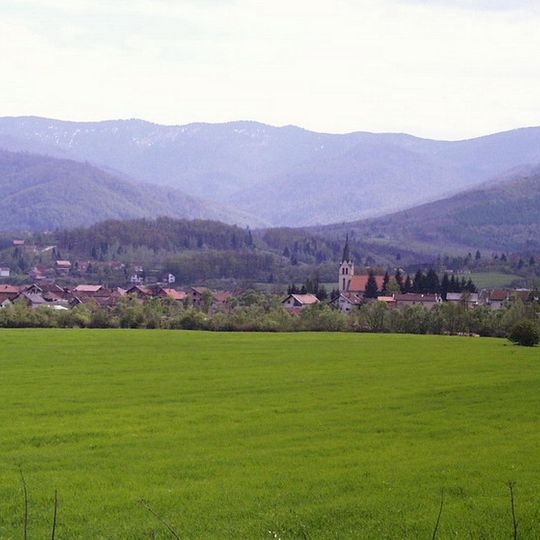 Vitez