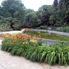 Jardin botanique Nikitski