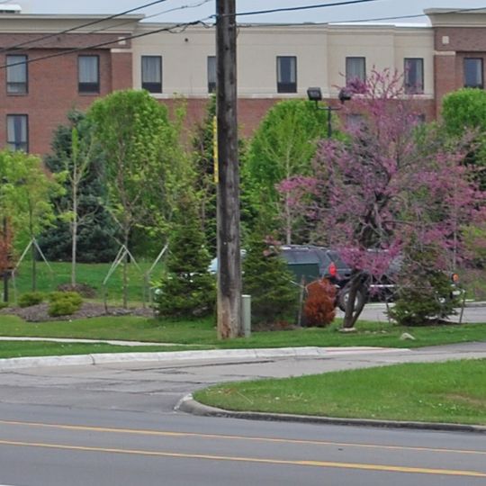 Phillip and Maria Hasselbach Dingledey House