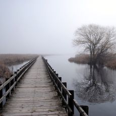 Park Narodowy Point Pelee