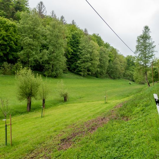 LSG-Tal westlich Schling