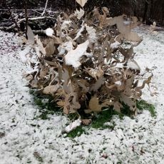 Flora und Fauna 2005