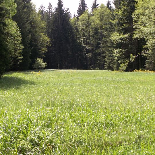 Mlýnský potok a Uhlířky