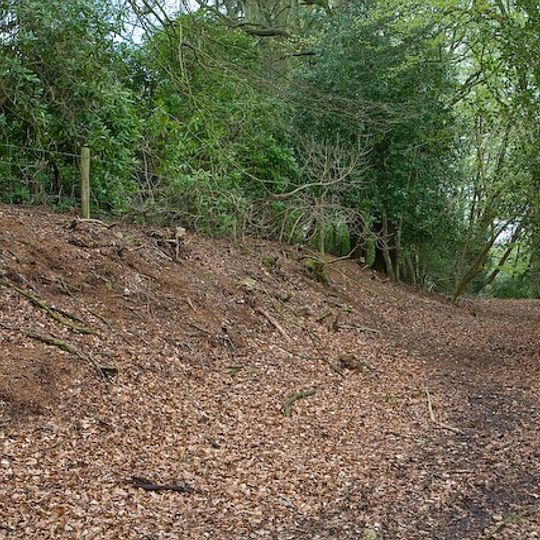 Malwood Castle hillfort