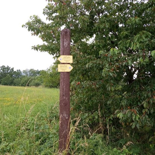 Vycházkový okruh Pastviny