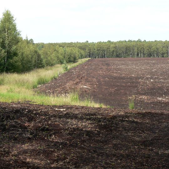 Großes Moor bei Gifhorn