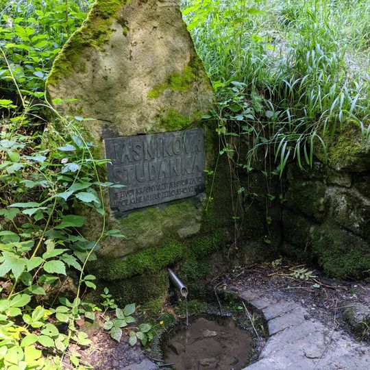 Pomník Adolfa Jasníka