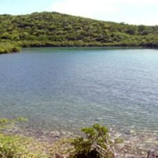 Virgin Islands Coral Reef National Monument