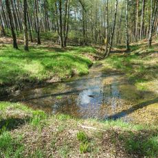 Spring "Amandaquelle" in Sitzenroda forest