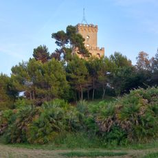 Area marina protetta Torre del Cerrano