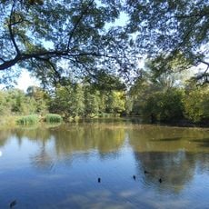 Staw przy ul. Kaczeńcowej w Krakowie