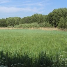 Mokřady horní Liběchovky