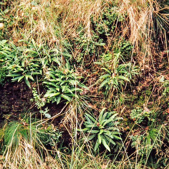 Egelser Wald und Umgebung