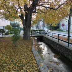 NÖ-Naturdenkmal BN-081 Schneckenreservat
