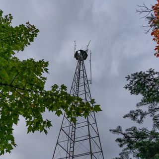 Devilfish Lookout Tower