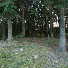 Grabhügel bei Oberwaldbauern