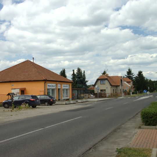 Vědomice