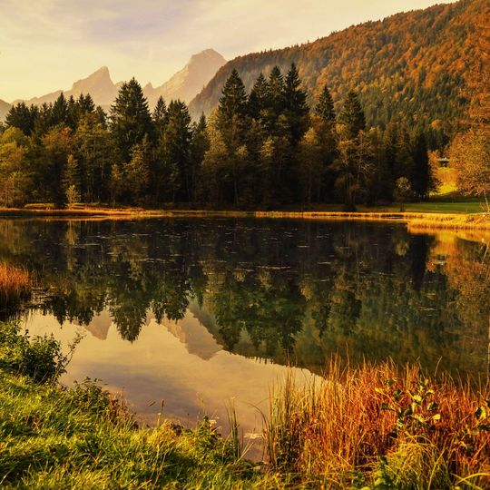 Moore und Extensivwiesen bei Berchtesgaden
