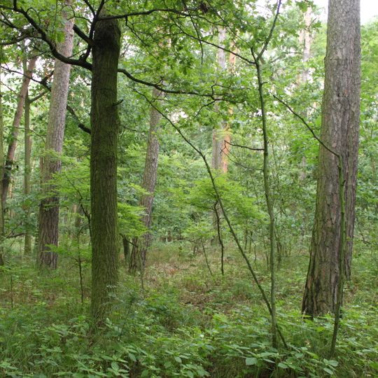 Přesyp u Malolánského