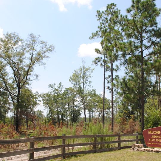 Jennings State Forest