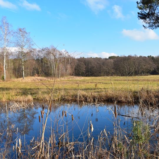 Bruch von Gravenbruch