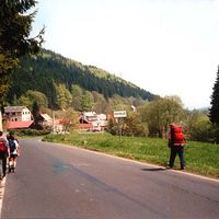 Pstruží (Merklín)