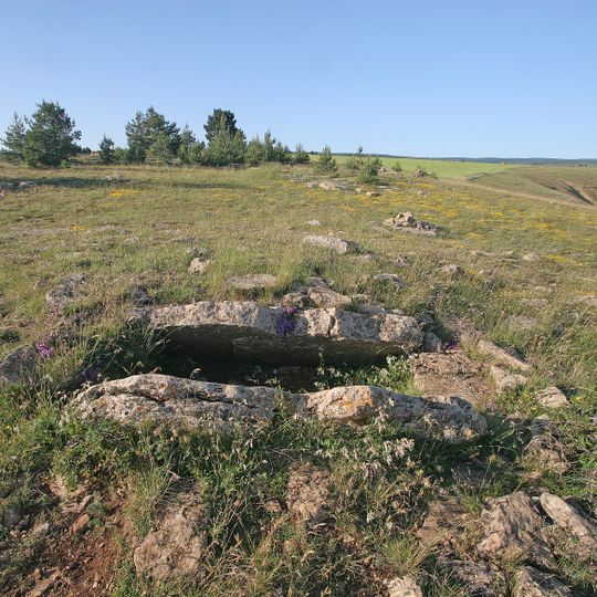 Dolmen des Combes