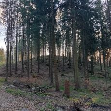 Wolfstein