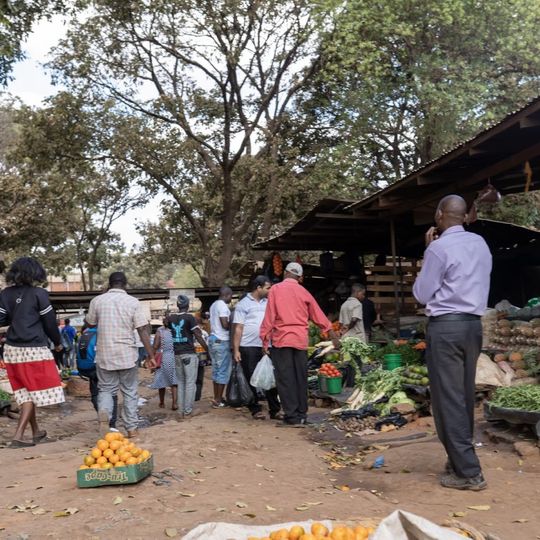 Lizulu Horticulture Market