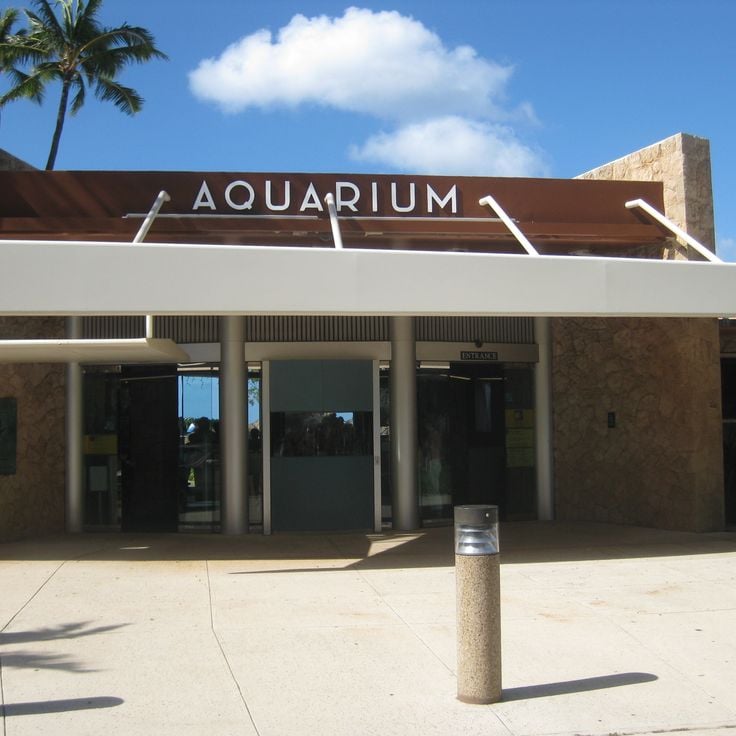 Waikiki Aquarium
