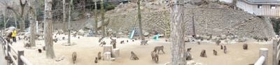 Panoramautsikt 1