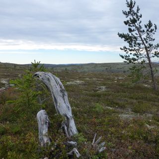 Parco nazionale di Fulufjellet