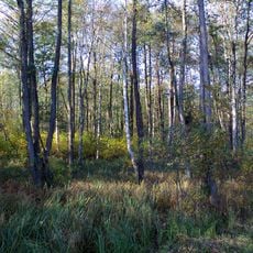 Rezerwat przyrody Kanistan