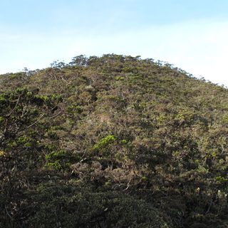 Mount Tambuyukon