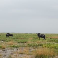 Liuwa Plain National Park
