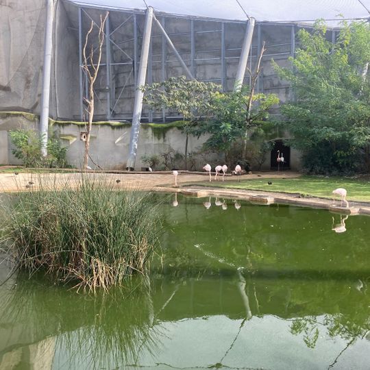 Large aviary