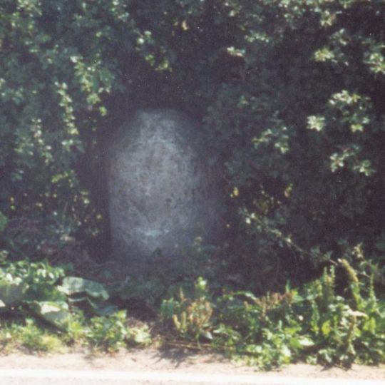 Milestone At Su 6319 7266