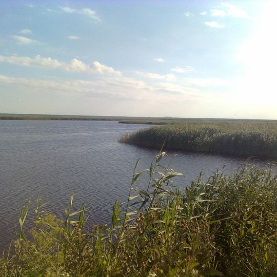 Yeya River