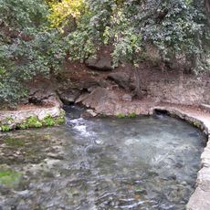 Comal Springs