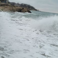 Whales Beach